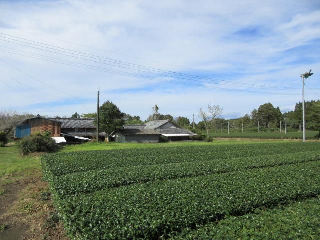 1955 Wooden House on 2140 sqm Land in Miyakonojo - Thumbnail 4