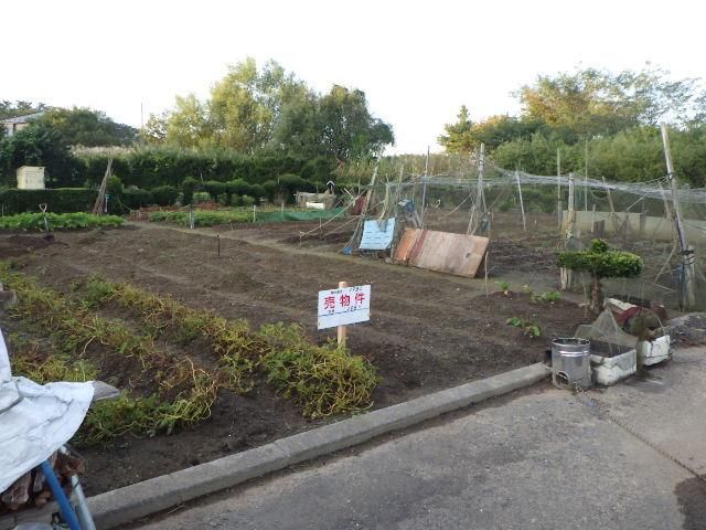 198 sqm Vacant Land for Sale in Hachinohe, Aomori - Thumbnail 2