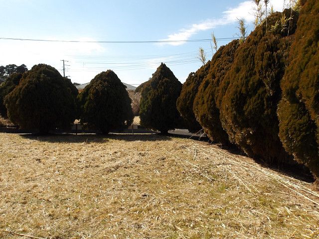 Land for Sale in Mobara City, Chiba Prefecture - Thumbnail 3