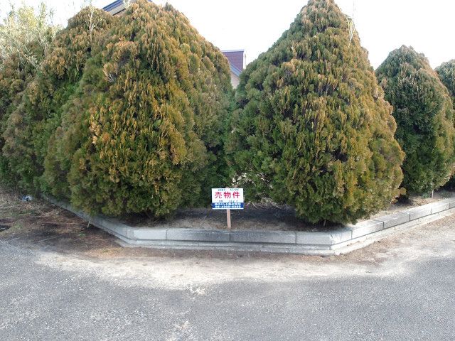 Land for Sale in Mobara City, Chiba Prefecture - Thumbnail 2