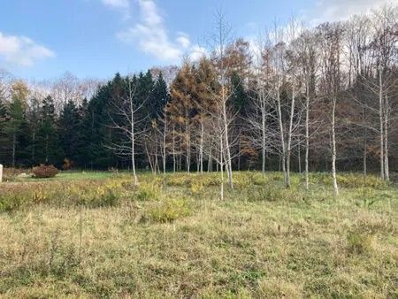 3042sqm Land with Hot Spring Access in Teshikaga, Hokkaido - Thumbnail 3