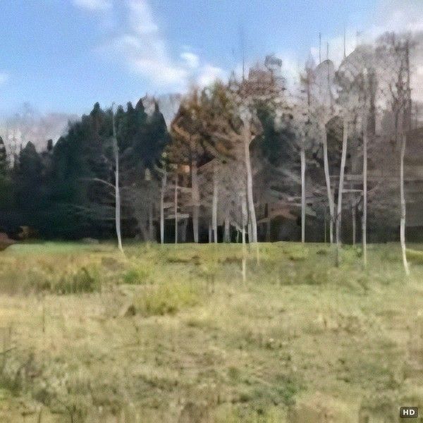 3042sqm Land with Hot Spring Access in Teshikaga, Hokkaido - Thumbnail 2