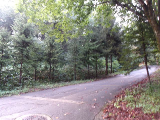 Land for Sale in Agano City, Niigata - 539 sqm - Thumbnail 4