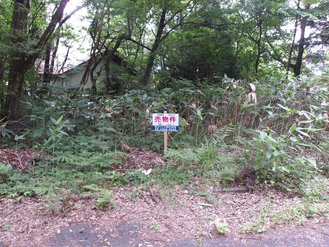 Land for Sale in Agano City, Niigata - 198 sqm - Thumbnail 3