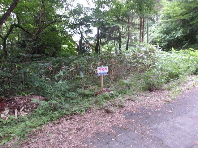 Land for Sale in Agano City, Niigata - 198 sqm - Thumbnail 4