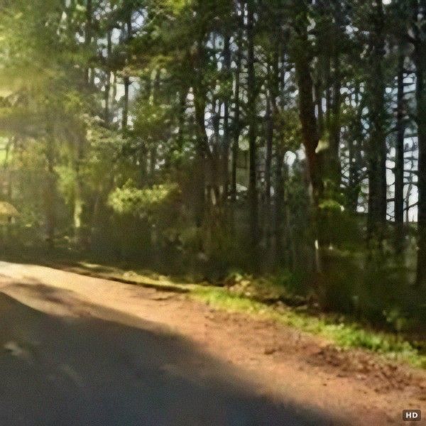 1125 sqm Land for Sale in Hara Village, Nagano's Yatsugatake Area - Thumbnail 3