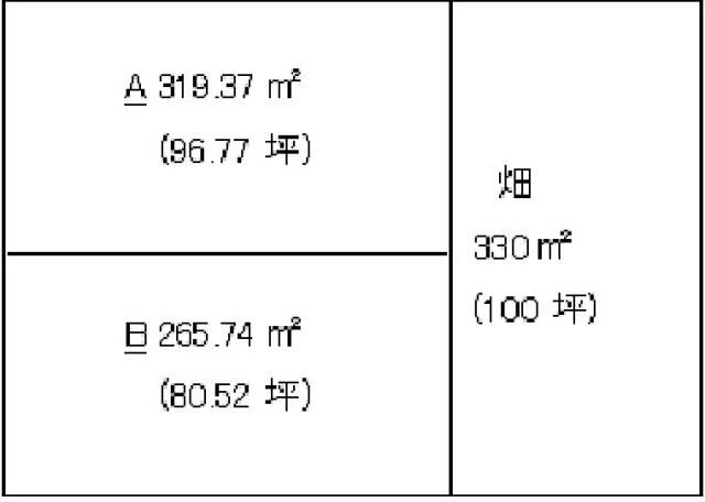 Land for Sale in Nagano City, Nagano - 80.52 sqm Vacant Lot - Thumbnail 2