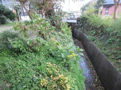 1953 Character House Near Shigetomi Port, Aira City, Kagoshima — Land, Aira, Kagoshima