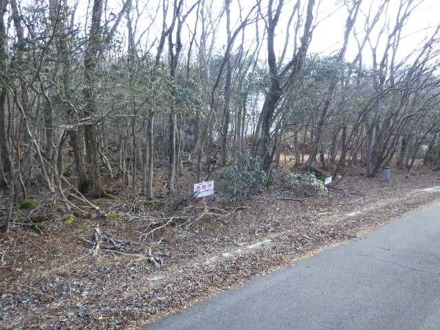 Land for Sale in Fujikawaguchiko near Mount Fuji | 626 sqm Plot - Thumbnail 2