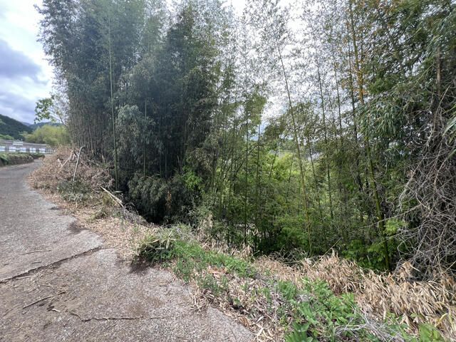 Sloping Land Plot for Sale in Fuefuki, Yamanashi - Thumbnail 2