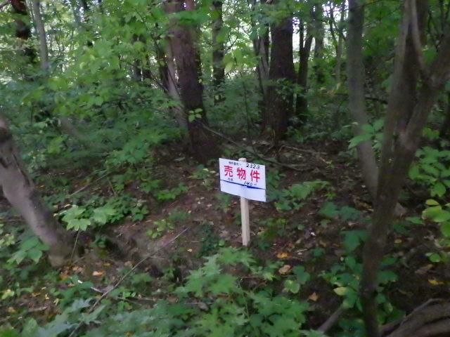 140 sqm Land for Sale in Aomori City, Aomori Prefecture - Thumbnail 3