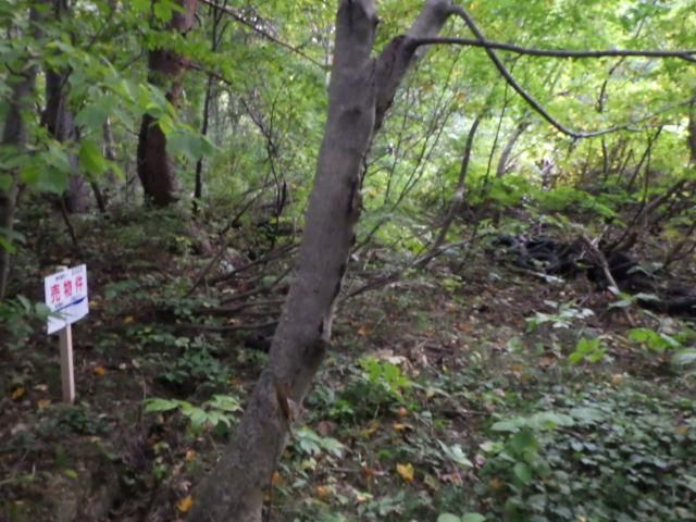140 sqm Land for Sale in Aomori City, Aomori Prefecture - Thumbnail 4