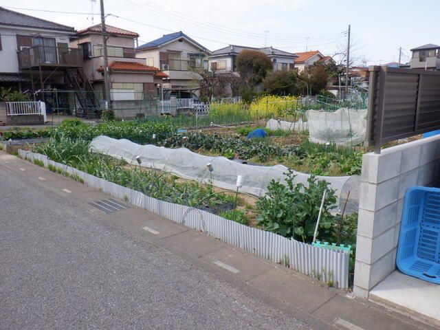 893 sqm Agricultural Land for Rent in Koshigaya, Saitama - Thumbnail 4