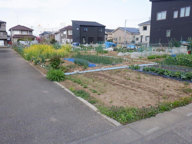 893 sqm Agricultural Land for Rent in Koshigaya, Saitama - Thumbnail 3