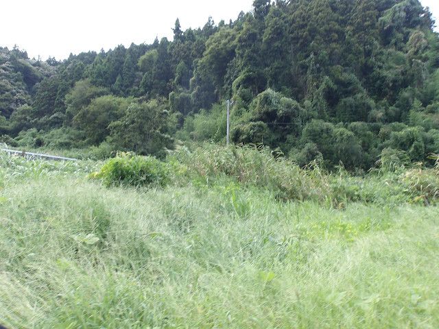 Land for Sale in Kashiwazaki City, Niigata - 205 sqm - Thumbnail 3