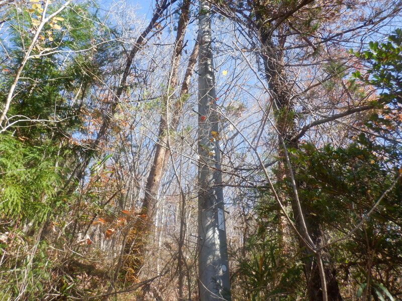 Land for Sale in Sano, Tochigi - 281 sqm - Thumbnail 4