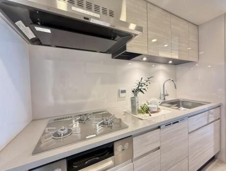 Classy Tower Shinjuku Gyoen 2LDK Apartment for Sale in Tokyo - Thumbnail 4
