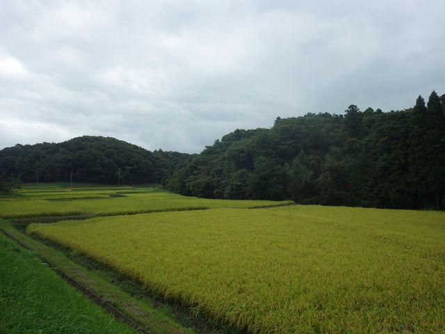 132 sqm Land Plot for Sale in Ichihara City, Chiba - Thumbnail 3