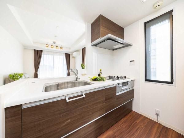Renovated 2LDK Apartment in Ota Ward, Tokyo - Thumbnail 3