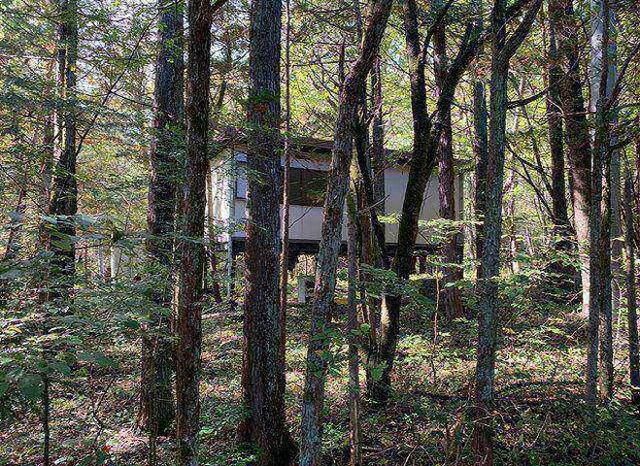 Spacious Land with Cabin in Hokuto City, Yamanashi - Main Image