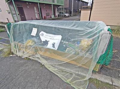 1K Apartment for Rent in Mito, Ibaraki - 29.81m² — Land, Mito, Ibaraki