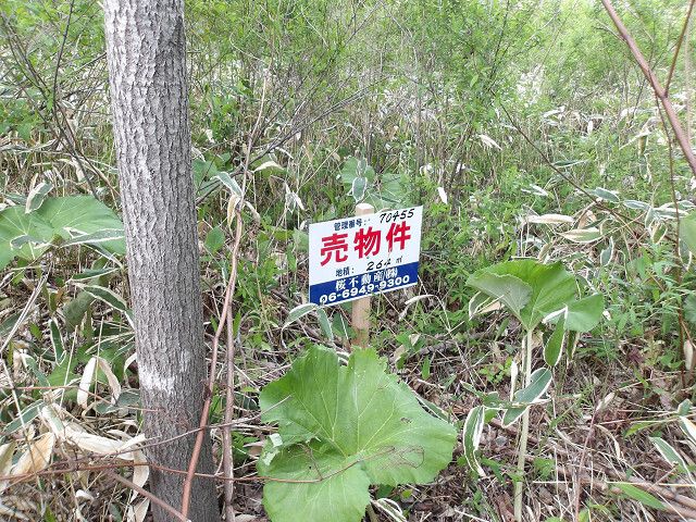Land for Sale in Tomakomai, Hokkaido - 264 sqm - Thumbnail 3