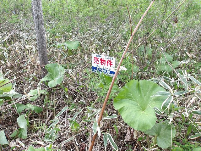 Land for Sale in Tomakomai, Hokkaido - 264 sqm - Thumbnail 4