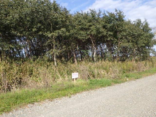 386 sqm Land Plot for Sale in Ebetsu, Hokkaido - Thumbnail 3