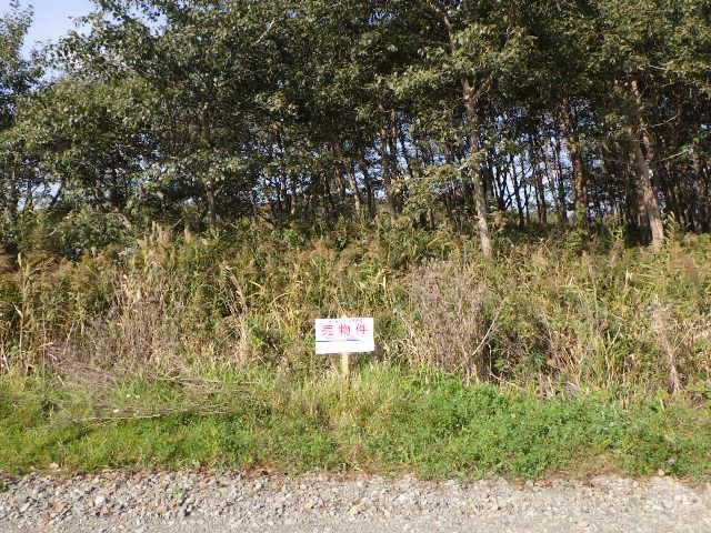 386 sqm Land Plot for Sale in Ebetsu, Hokkaido - Thumbnail 4