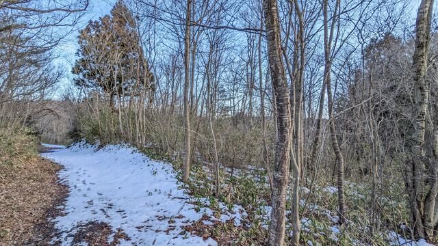 Land for Sale in Ichinoseki, Iwate - 4,147 sqm - Thumbnail 3