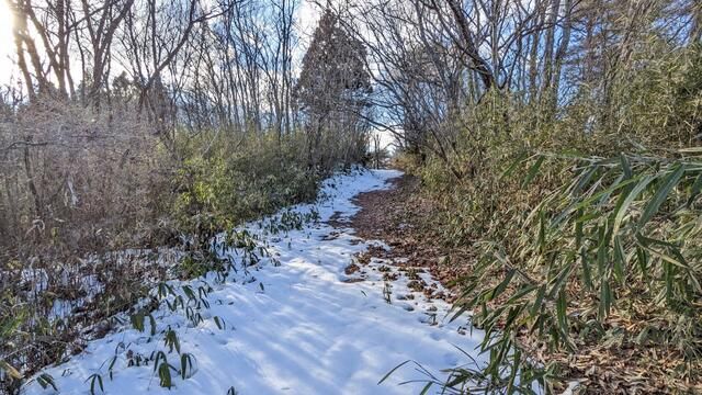Land for Sale in Ichinoseki, Iwate - 4,147 sqm - Thumbnail 2