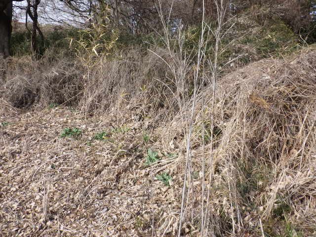 Land for Sale in Tsuchiura, Ibaraki - 179 sqm - Thumbnail 4