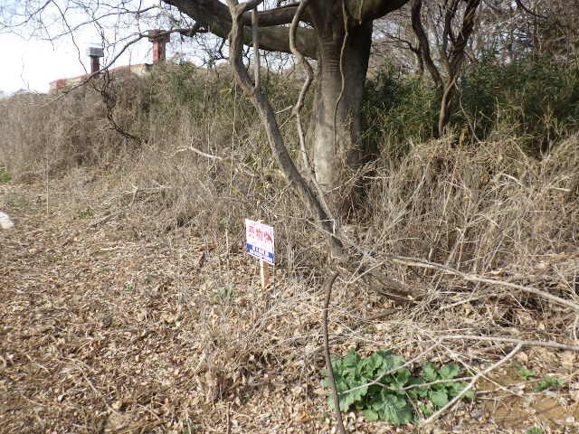 Land for Sale in Tsuchiura, Ibaraki - 179 sqm - Thumbnail 3