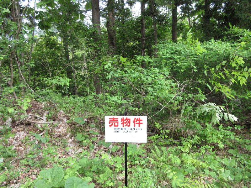 Land for Sale in Inawashiro, Fukushima - 335 sqm - Thumbnail 2