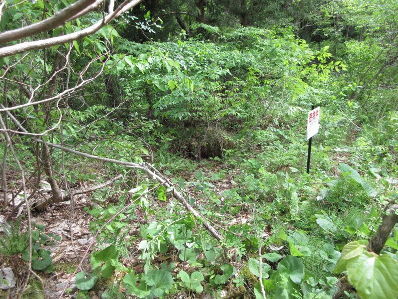 Land for Sale in Inawashiro, Fukushima - 335 sqm - Thumbnail 4