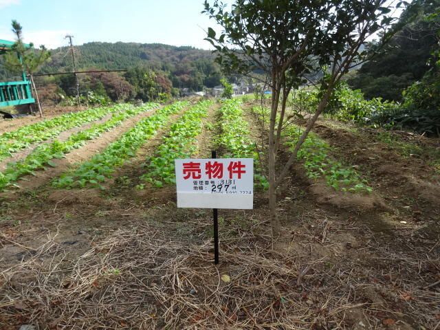 Land for Sale in Kashiwazaki, Niigata - 297 sqm - Thumbnail 2