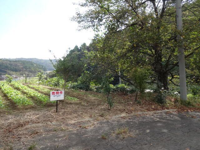 Land for Sale in Kashiwazaki, Niigata - 297 sqm - Thumbnail 4