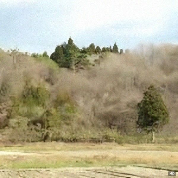 Sunny Wooded Land for Sale in Nishigo Village, Fukushima - Thumbnail 2