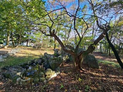 7LDK House on 8,175sqm Land in Azumino, Nagano | 1991 Built — Image 11, Azumino, Nagano