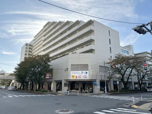 The Square 3LDK Condo for Sale in Tama, Tokyo - Thumbnail 2