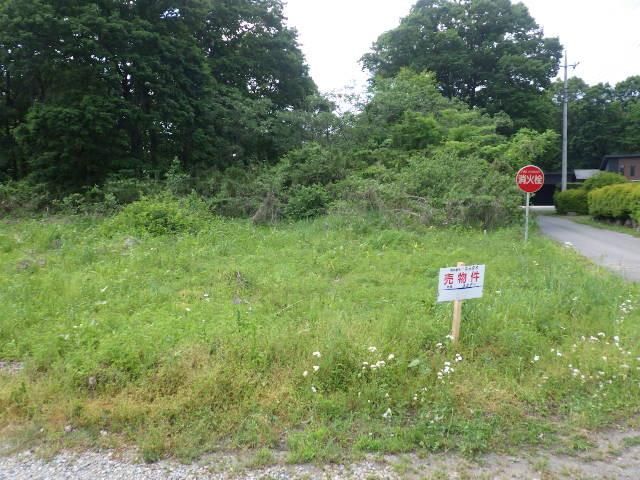 Land for Sale in Nasushiobara, Tochigi 359 sqm - Thumbnail 3