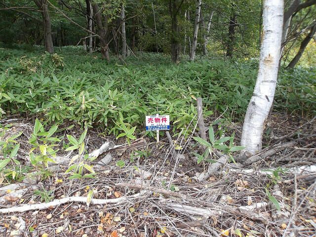224 sqm Land for Sale in Minaminosawa, Sapporo - Thumbnail 3