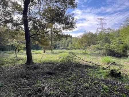 Secluded 1800 Tsubo Land for Sale in Nagara Town, Chiba - Thumbnail 2