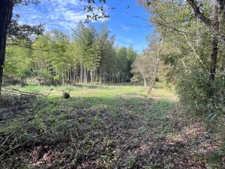 Secluded 1800 Tsubo Land for Sale in Nagara Town, Chiba - Thumbnail 4