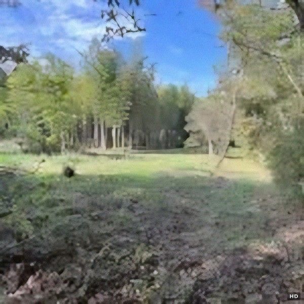 Secluded 1800 Tsubo Land for Sale in Nagara Town, Chiba - Thumbnail 3