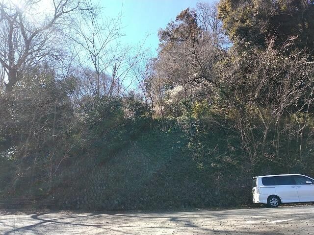 1307 sqm Land Plot for Sale in Takasaki, Gunma Prefecture - Thumbnail 2