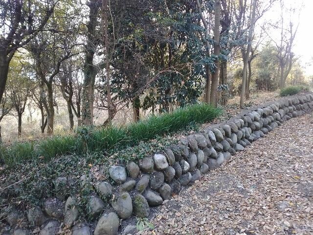 1307 sqm Land Plot for Sale in Takasaki, Gunma Prefecture - Thumbnail 3
