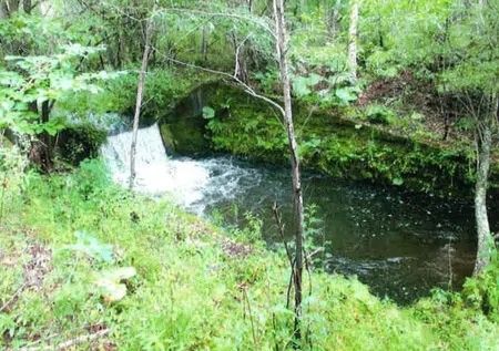 Land with Cabin in Akan-Mashu National Park near Lake Kussharo, Hokkaido - Thumbnail 3