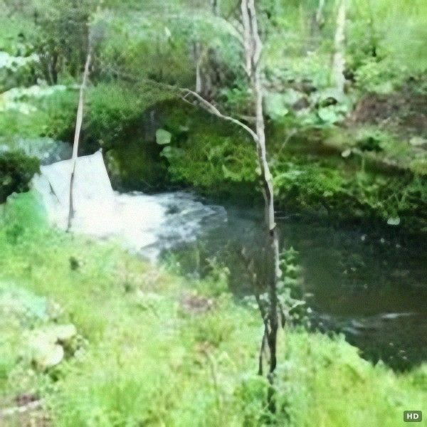 Land with Cabin in Akan-Mashu National Park near Lake Kussharo, Hokkaido - Thumbnail 2