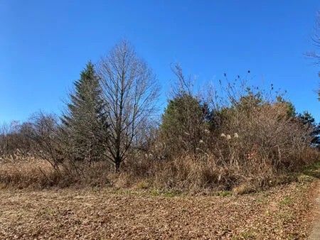 Spacious Sloping Land for Countryside Living in Saku, Nagano - Thumbnail 2